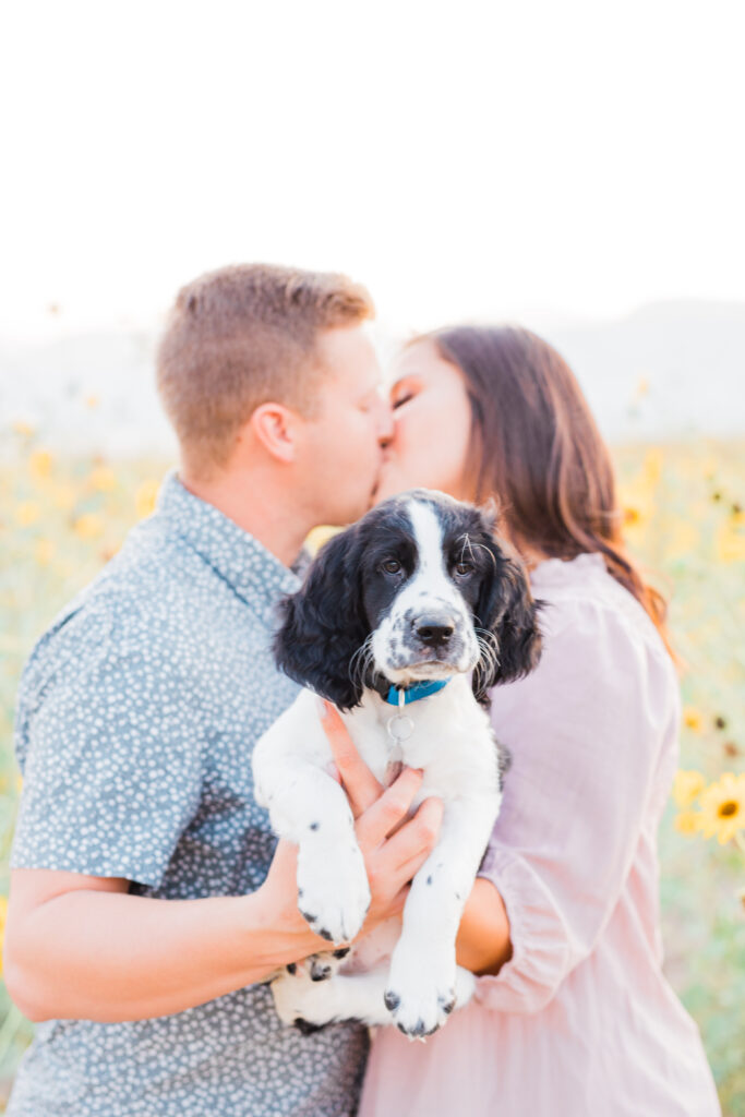 5 tips for bringing your pup to your photo session! Check out these sunflower fields in Herriman, Utah and adorable puppy!