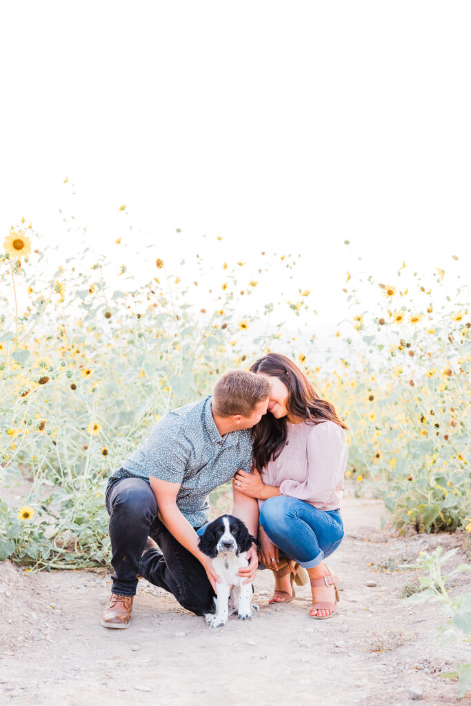 Tips for bringing your dog to family pictures